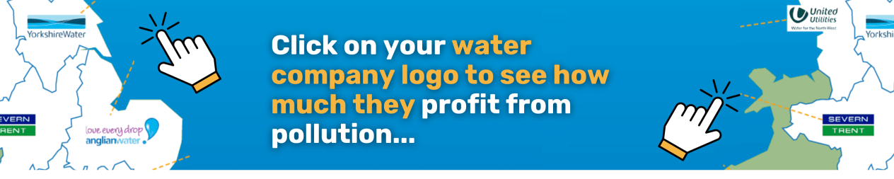 Click on your water company logo to see how much they profit from pollution...