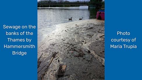 Sewage on the banks of the Thames by Hammersmith Bridge. Photo courtesy of Maria Trupia